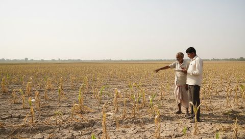 महाराष्ट्र ने फसल क्षति आकलन रिपोर्टों पर किसानों के हस्ताक्षर अनिवार्य किए