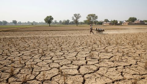NCP (Sharadchandra Pawar) Discusses Drought, MPSC, SIR; Rohit Pawar Urges Simple Diwali